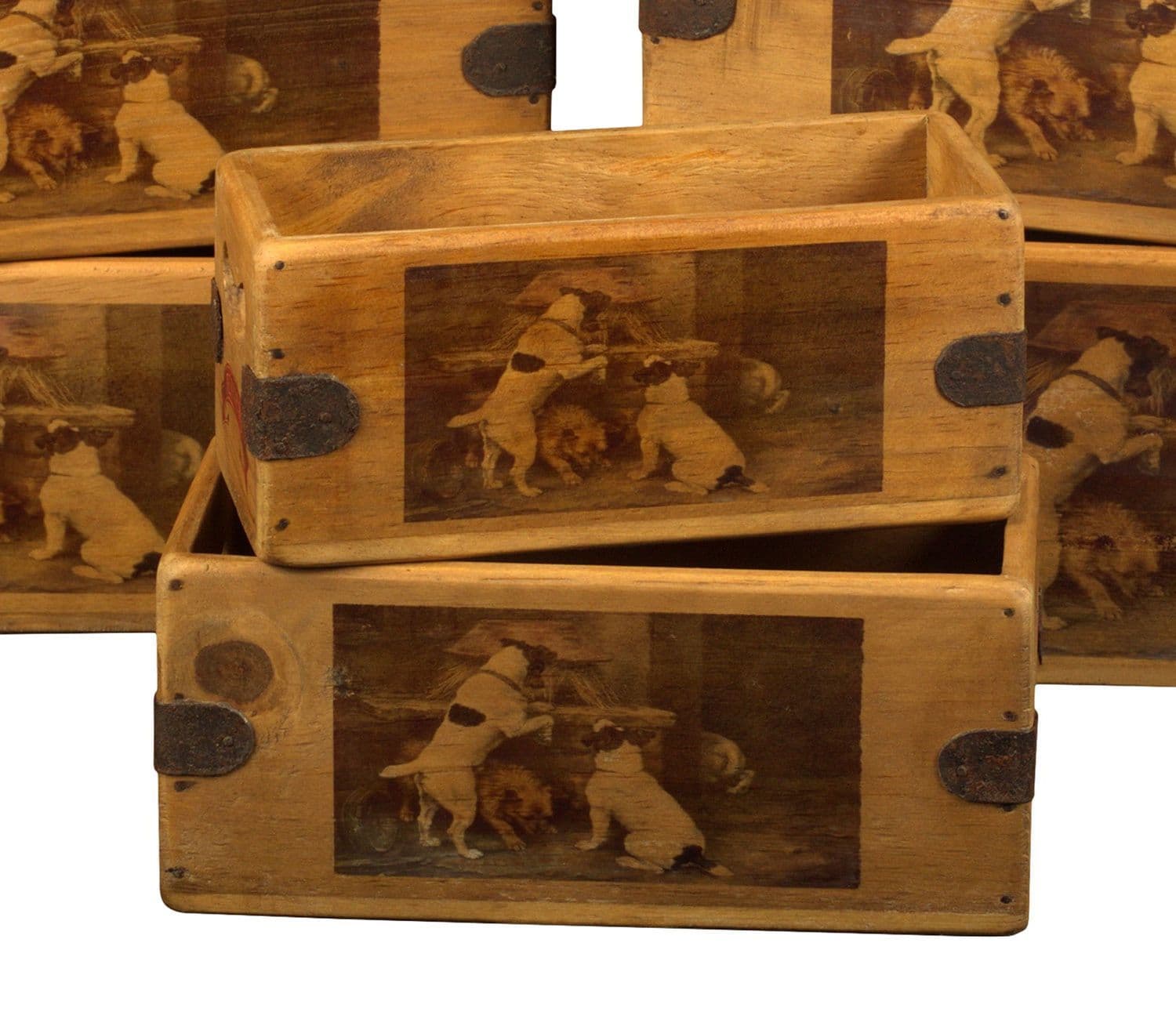 Jack Russel Terrier Box Vintage Wooden Dog Crate