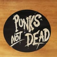 Punks Not Dead LP Record Box Vinyl Album Storage