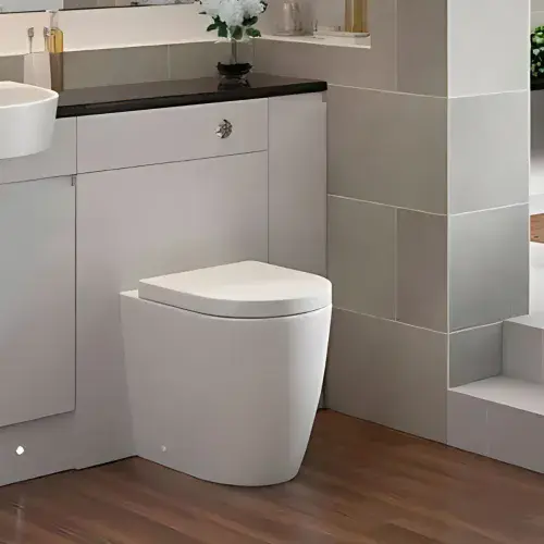 Aquila Rimless Back To Wall Toilet With Soft Close Seat
