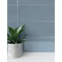 Botanical Decoration/Wall Ceramic Tiles - Available in Various Colour-Per Box