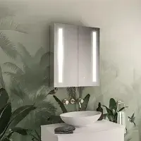 Castellano 600 x 700mm LED Mirror Cabinet - 2 Door