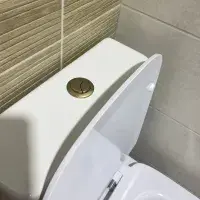 Cedare Open Back Close Coupled Toilet | Soft Close Seat