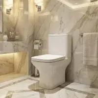 Cedare Open Back Close Coupled Toilet | Soft Close Seat