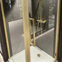 Corniche 2000 Brushed Brass 8mm Hinged Shower Door