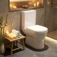 Dura Eco Vortex Open Back Toilet & Soft Close Seat | Bathcenter
