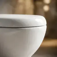 Dura Eco Vortex Open Back Toilet & Soft Close Seat | Bathcenter
