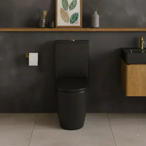 Frontline Adella Comfort Height Flush to Wall Toilet - Matt Black & Soft Close Seat
