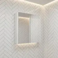Frontline 600mm 2 Door Mirror Cabinet | Bathcenter