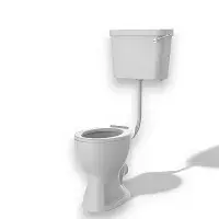 Icare Disabled Low Level Raised Height Toilet Including Seat