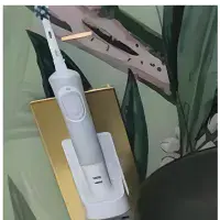 In-Wall Electric Toothbrush Charger - Brushed Brass | Bathcenter