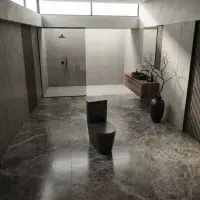 Matt Black Rimless Close Coupled Toilet inc Soft Close Seat