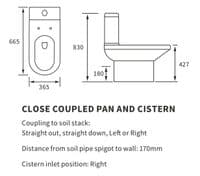 Serpens Rimless Toilet with Optional Colour WC Push Button