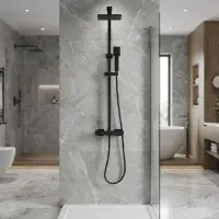 Square Dual Head Thermostatic Shower  Matt Black