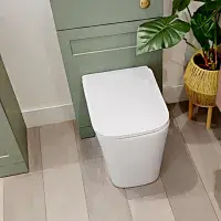 Vegar Rimless Back To Wall Short Projection Toilet and Soft Close Seat
