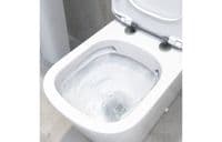 Vegar Rimless Back To Wall Short Projection Toilet and Soft Close Seat