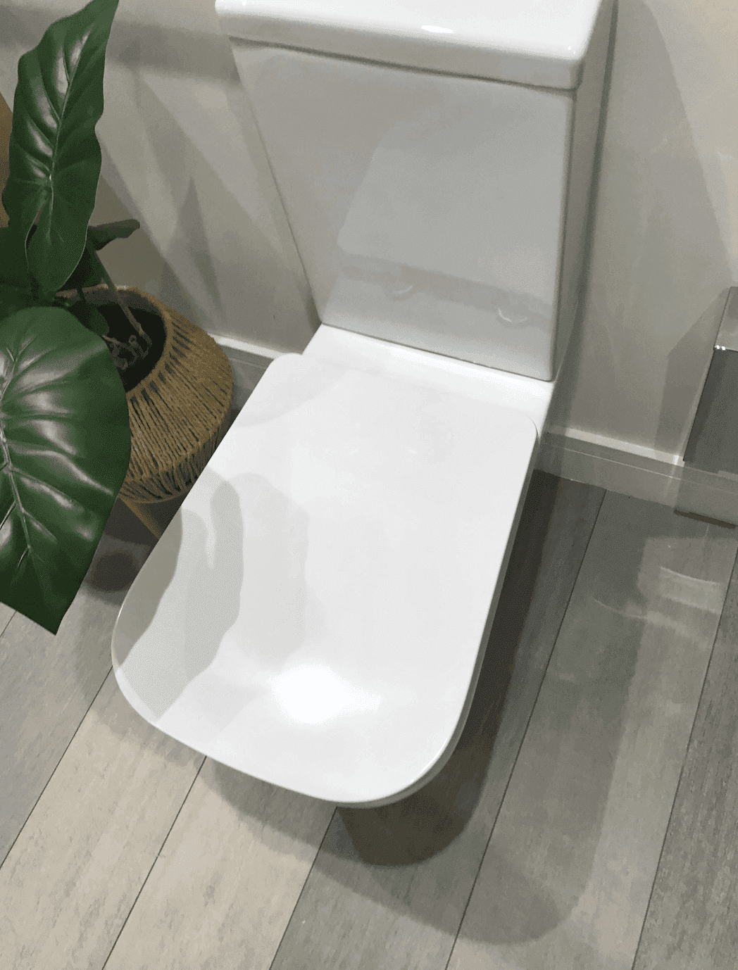Vegar Rimless Close Coupled Toilet Rimless Open Back Comfort Height