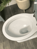 Victorian Style Back To Wall Toilet With Satin White Soft Close Seat