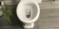 Victorian Style Back To Wall Toilet With Sea Green Soft Close Seat