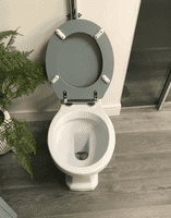 Victorian Style Low Level Toilet with Grey Seat Wood Soft Close Seat