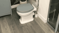 Victorian Style Low Level Toilet With Sea Green Soft Close Seat