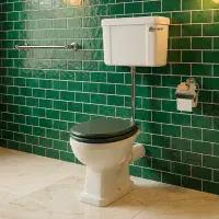Victorian Style Low Level Toilet With Sea Green Soft Close Seat