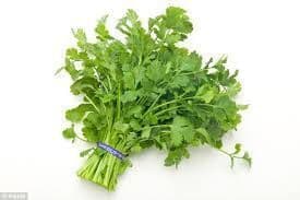 Coriander Leaves (Dhaniya)