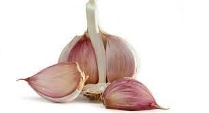 Garlic 4 pack
