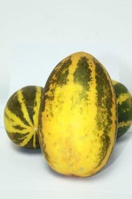 Kerala Cucumber approx 500g £5.99/Kg