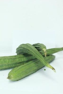 Ridge Gourd/Turiya £6.99/Kg
