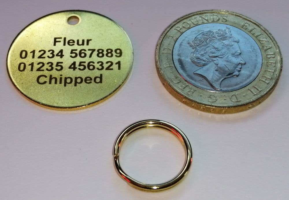 29mm Laser Engraved Brass Pet Tags ID Disc Tag Cat Dog Metal Brass