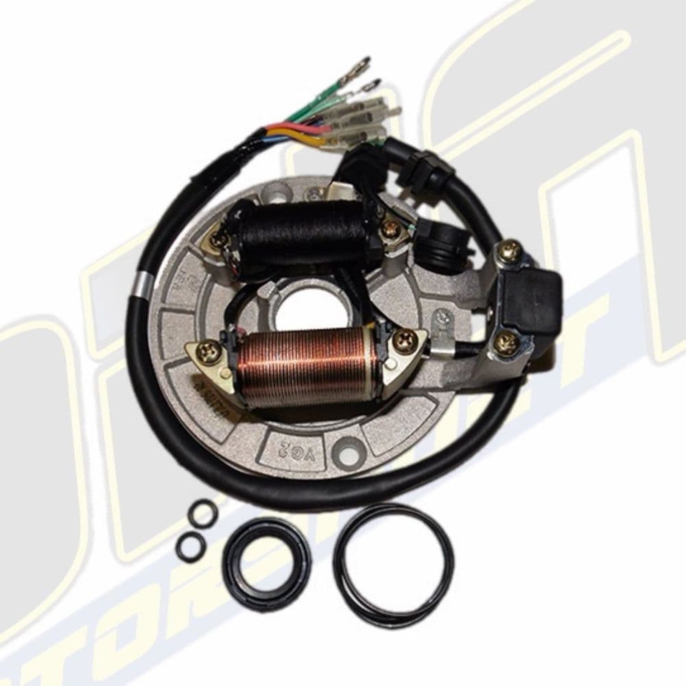 Pit Bike Stator Plate - 2 Coil / 12V Type