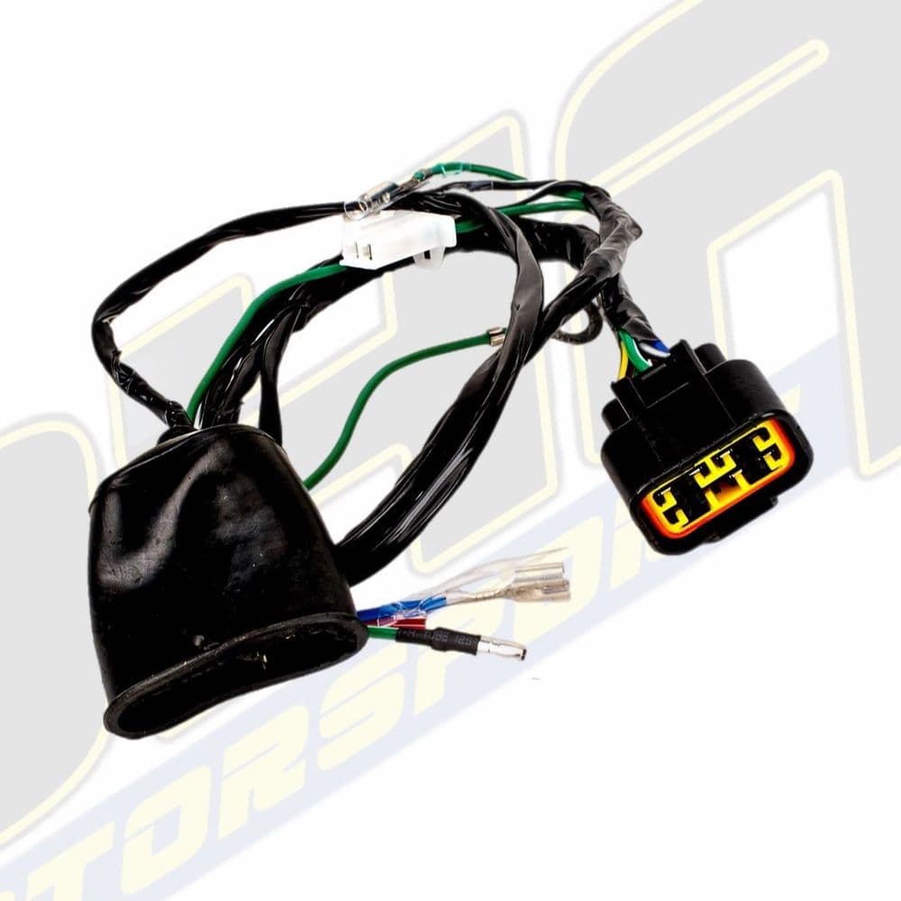Pit Bike Wiring Harness / Loom for Stomp Z3 160cc (ZS155)