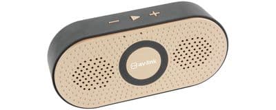 av:link Bopp Gold Portable Bluetooth Speaker + Mini SD + Rechargeable + Mic