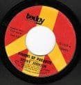 Benny Johnson Visions Of Paradise Today original Mint Unplayed! Free Shipping!