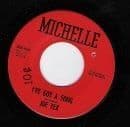 Joe Tex I've Got a Song Michelle