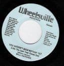 WILL HATCHER YOU HAVENT SEEN NOTHIN YET WHEELSVILLE