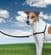 Easy Walk Harness