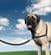 Easy Walk Harness