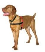 Halti Harness - Small Size Only