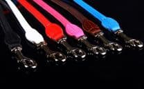 Handmade Rolled Leather Lead