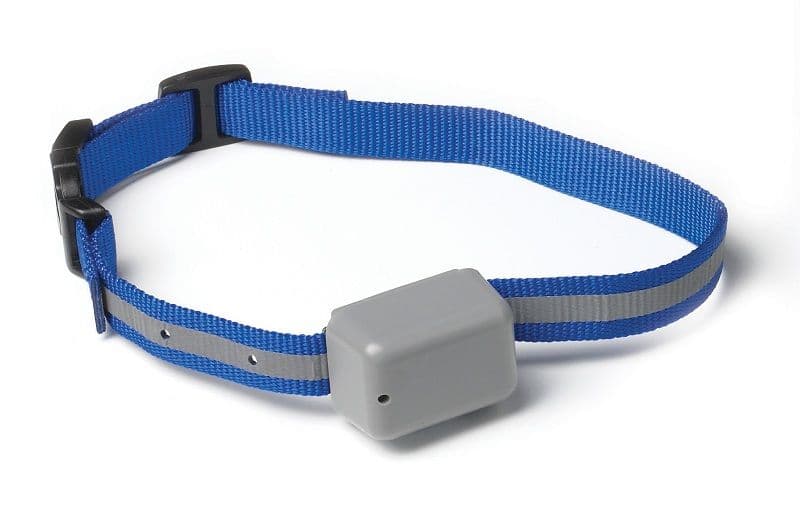 Innotek Rechargeable Fence Collar Dog Goodies
