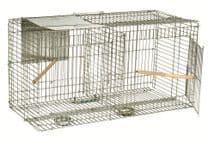 Larsen Cage Trap