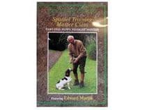 Spaniel Training Masterclass - Part 1 - Puppy to Eight Months