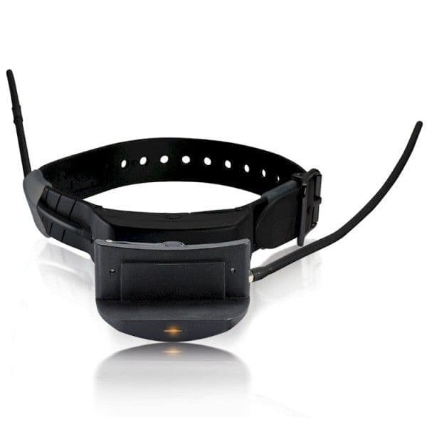 TEK 1 0 ECollar Module Dog Goodies