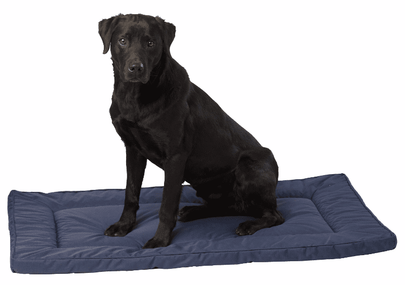 Waterproof Crate Mat Dog Goodies