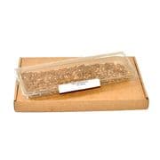 Mini Mealworms (Tenebrio molitor) (15-18mm)