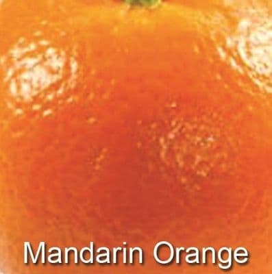 Mandarin Orange Essence Milk Box (4 x 5Ltr)