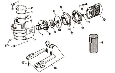 Maxflo Pumps