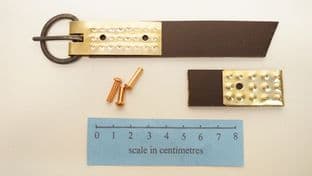 20mm wide Anglo-Saxon belt buckle Wasperton Grave 22