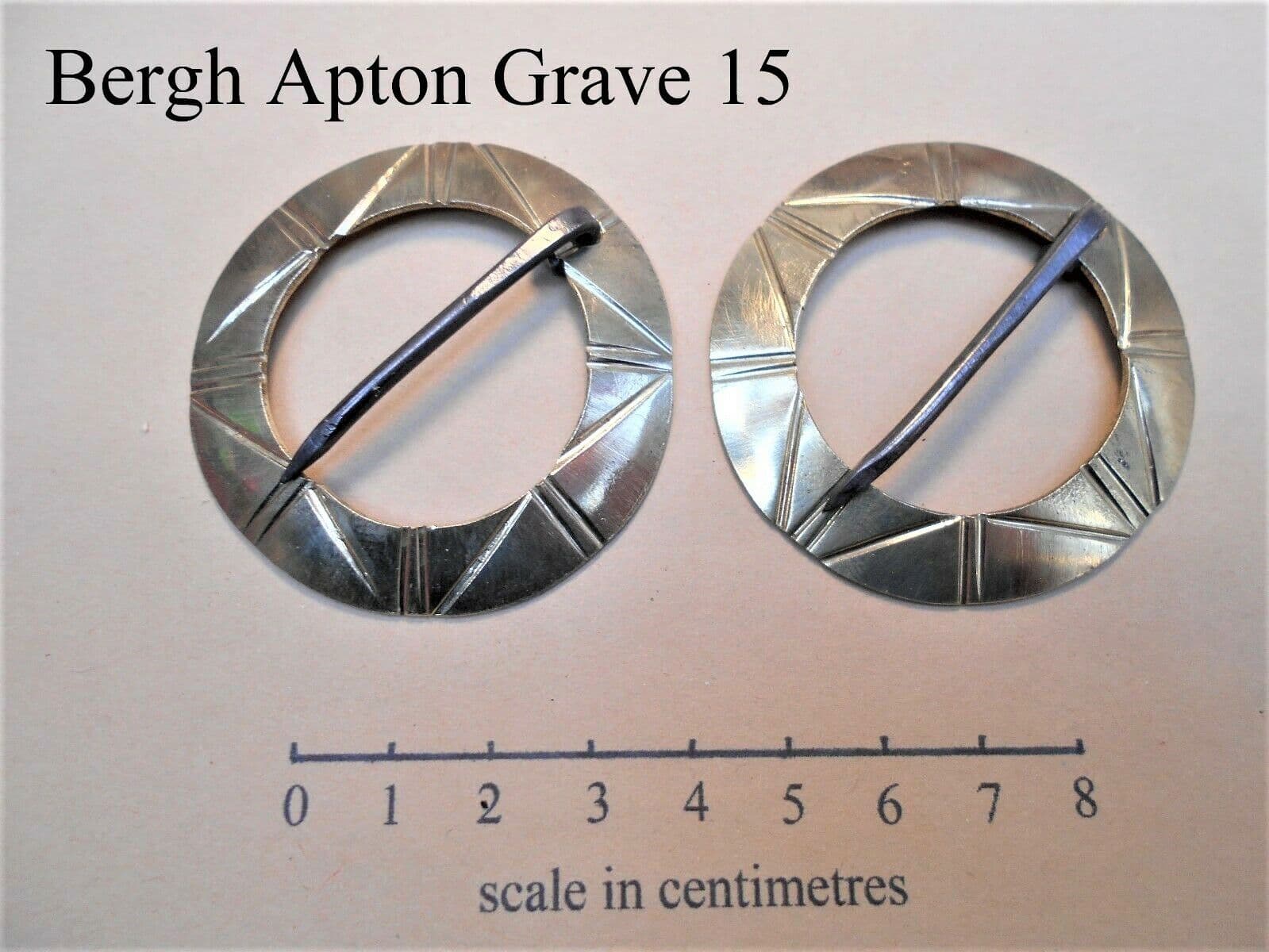Apton Sequence Anglo-Saxon Bergh Apton G15 Annular brooch set of 2